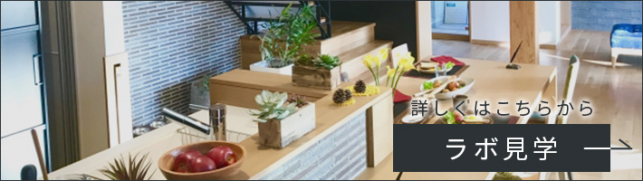 ラボ見学